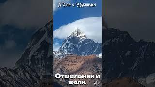Колдунья потребовала сердце, как доказательство любви. Песня о любви и предательстве