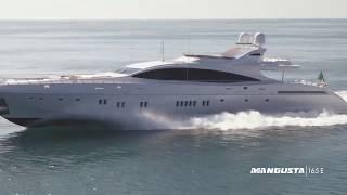 Mangusta 2019