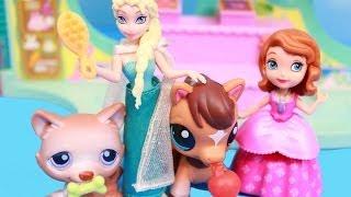 LPS Elsa & Sofia the First Shop for Littlest Pet Shop