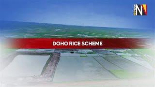 China-Uganda Cooperation: Doho Rice Scheme