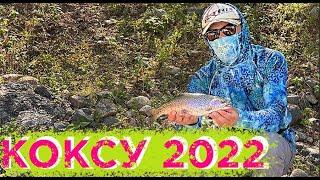 Hiking, camping and fishing on Koksu river. Uzbekistan / Поход и рыбалка на реку Коксу. Узбекистан