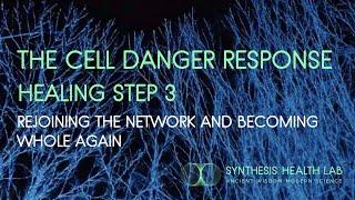 Decoding Your Immune System - CDR 3 & Reconnecting new Cells to the Whole Network