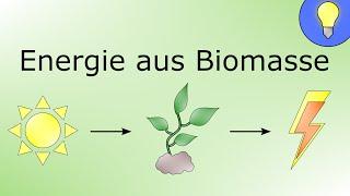 Energie aus Biomasse