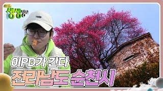 이PD가 간다 : 전라남도 순천시 [2TV 생생정보] | KBS 250312 방송