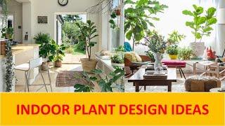 TOP 100 INDOOR PLANT DECORATION IDEAS | BEST HOUSE PLANT DESIGN IDEAS 2024