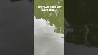 Raptor Lures Bull Brim swim action- Just Awesome