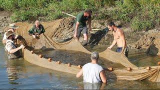 Coronavirus slows Arkansas fish hatcheries, halts 2020 striped bass project