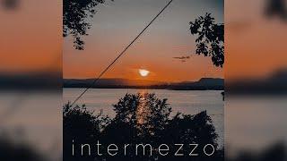 The Chill Nest - Intermezzo