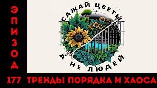 Сажай цветы, а не людей: «Тренды порядка и хаоса», эпизод 177