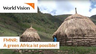 FMNR - A green Africa ist possible!