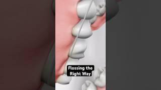 Flossing the right way (3D Animation)