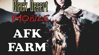 Black Desert Mobile  Как фармить в АФК режиме 