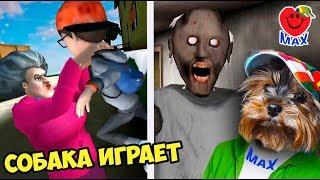 СМОТРИ! СОБАКА ИГРАЕТ МИСС ТИ vs ГРЕННИ! GRANNY 2 vs MISS T SCARY TEACHER 3D! ПРИКОЛЫ ВАЛЕРИШКА МАКС