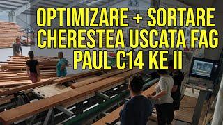 Linie optimizare si sortare cherestea uscata fag - Paul C14 KE II