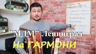 МДМ Ленинград на гармони