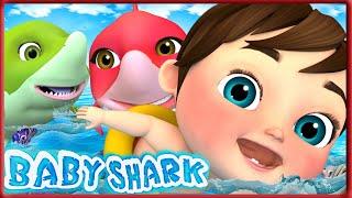 Baby Shark Dance Party  | Join Mommy & Daddy Shark  #CoComelon #Shorts #bebefinn  #loolookids