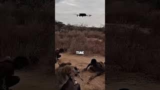 African Tribe Sees a Drone for the First Time