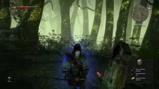 The Witcher 2 квест Беда с Троллем