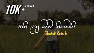 Nihandai Thamath - නිහඬයි තාමත් (Slowed+Reverb)