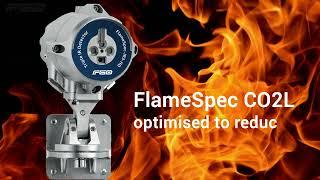 FlameSpec False Alarm Immunity