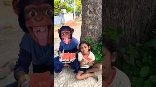 Monkey uncle  came to eat dawat  trending song shorts