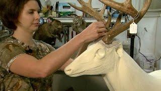 NC Now | Animal Art: Taxidermy in NC | UNC-TV