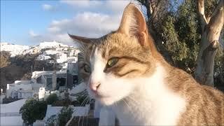 Santorini Greece - The many shades of autumn