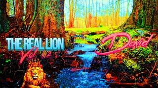 David - THE REAL LION, Vol. 02 (Viisualizer) | #TheRealLionProject