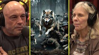 The Wolf Issue In WWI | Joe Rogan & Diane K. Boyd