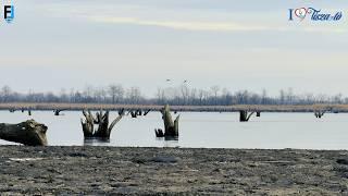 Így néz ki  a leengedett Tisza-tó