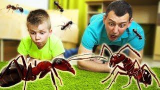 Кого ИСПУГАЛСЯ папа??? Матвей КУПИЛ новых ЖИТЕЛЕЙ!!! Видео для детей Video For Kids Матвей Котофей