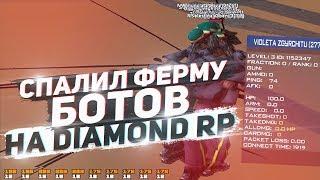 СПАЛИЛ ФЕРМУ БОТОВ НА DIAMOND RP