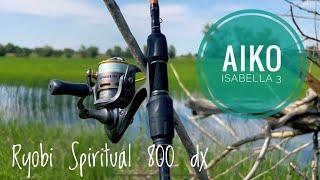 Aiko Isabella 3 + Ryobi Spiritual dx 800. Обзор.