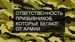 Ответственность призывников, которые бегают от армии. Николай Шалаевский