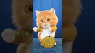 #kidsoftiktok #kids #forkids #funnykids #cartoon #kidscartoon #funny #funnycat #babydancing