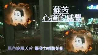 蘇芮-心痛的感覺