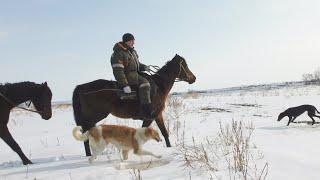 Охота с борзыми. Февраль.