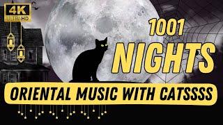 1001 Nights @ 1001 Paws - Live Cam Cat Sanctuary - Oriental Calm Music