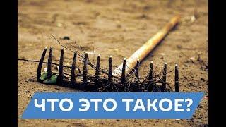 Что такое опыт? Почему люди играют в игры? (ПГГ#3)