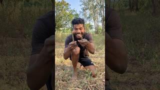 The guy shows SURVIVAL skills in the WILD #camping #outdoors #bushcraft #lifehacks