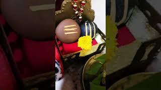 2 paison ka ped #shorts #paisa #plants #money #vastu