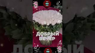 - КРАСИВОГО ВЕЧЕРА!!!...