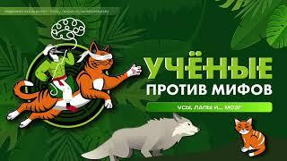 Ученые против мифов. Усы, лапы и... мозг. День-1