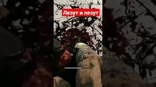 Лезут со всех дыр #DEADISLAND2ПРОХОЖДЕНИЕ #DEADISLAND2gameplay #GIDROBOOR