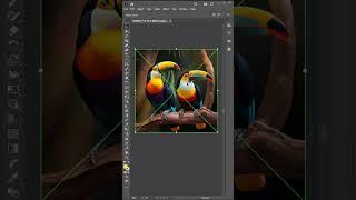 Convert Image to Vector in Adobe Illustrator cc Tutorial | Vectorize Image | Graphic Design