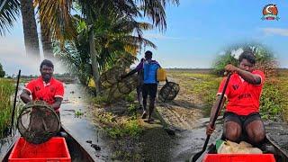 ഞങ്ങളുടെ പാടത്ത്  പുതുവെള്ളം കയറ്റുമ്പോൾ പിടിക്കുന്ന മീൻ |Earth Lovers Media|Real life vlog