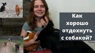 Отдых с собакой. Куда хотите поехать с собакой?