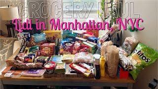 LIDL Grocery Haul in Manhattan NYC 