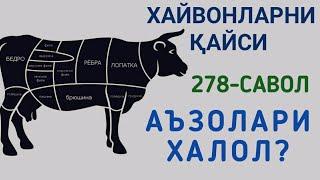 278-Савол: Хайвонларни қайси аъзолари халол?(Шайх Абдуллоҳ Зуфар Ҳафизаҳуллоҳ)