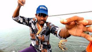 കാരട് മീൻ ചാകരമീൻ പിടിച് പൊരിച്ചു Village Fishing,Traditional fishing, Fishing Malayalam,Fishing